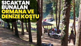 Ormana ve denize koştular