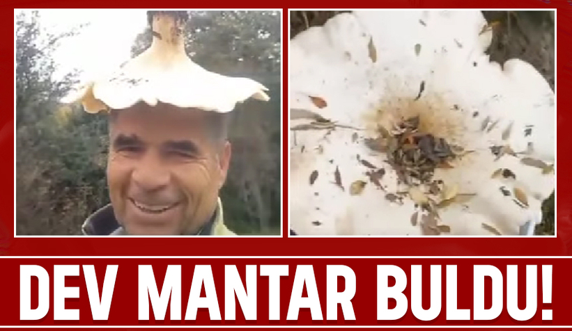 Ormanda buldu; Define bulmuş gibi sevindi