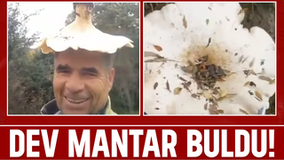 Ormanda buldu; Define bulmuş gibi sevindi