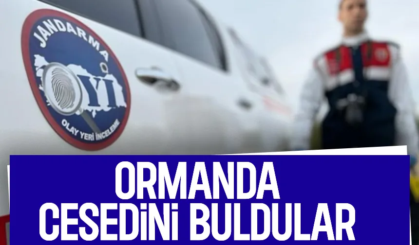 Ormanda cesedi bulundu