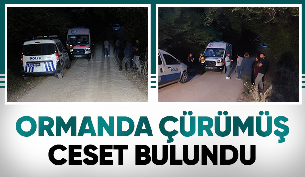 Ormanda ceset bulundu
