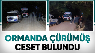 Ormanda ceset bulundu