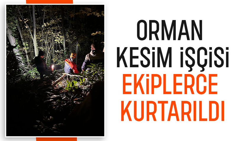 Ormanda düştü, ekipler kurtardı