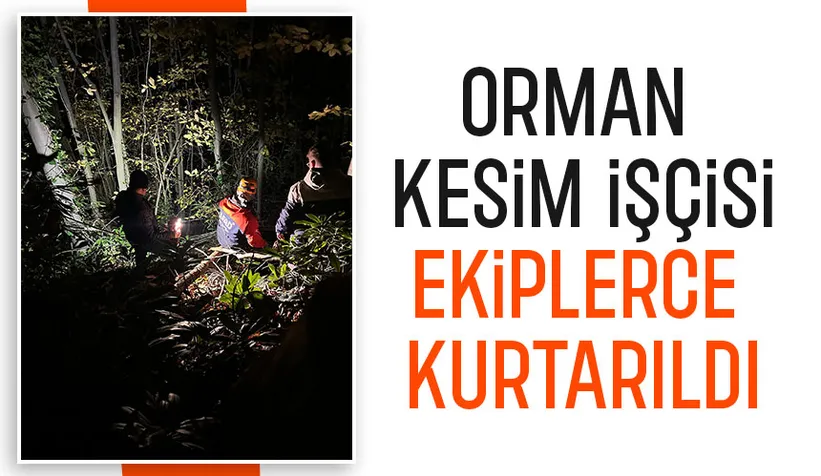 Ormanda düştü, ekipler kurtardı