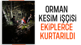 Ormanda düştü, ekipler kurtardı