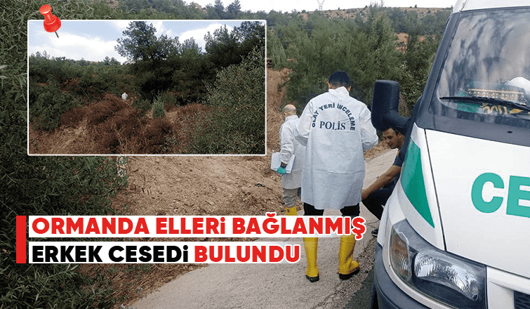 Ormanda elleri bağlanmış ceset bulundu