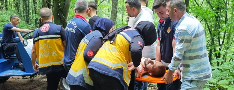 Ormanda kurtarma operasyonu; Seferber oldular