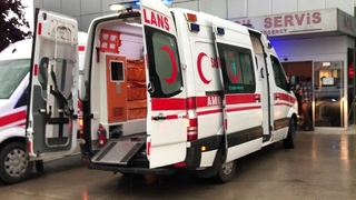 Ormandan toplanan mantardan 4 kişi zehirlendi