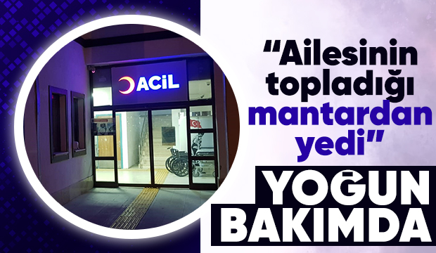 Ormandan toplanan mantarı yiyen çocuk yoğun bakımda