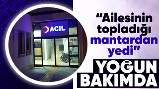 Ormandan toplanan mantarı yiyen çocuk yoğun bakımda