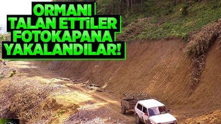Ormandan toprak ve odun çalan şüpheliler fotokapana takıldı