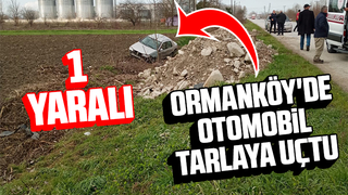 Ormanköyde otomobil tarlaya uçtu: 1 yaralı