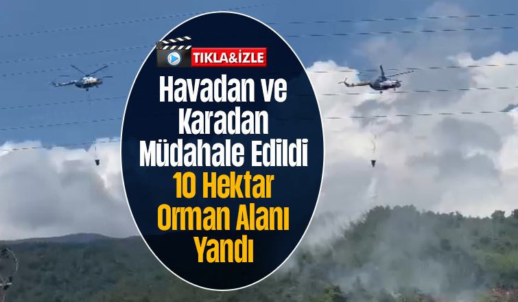 Dokurcun'da 10 hektar alan yandı