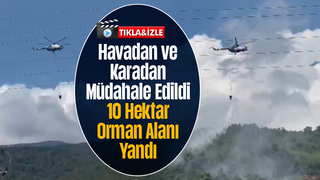 Dokurcun'da 10 hektar alan yandı