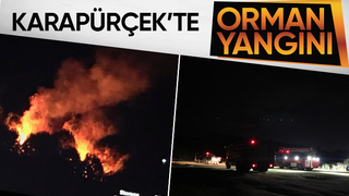 Ormanlık alanda yangın çıktı