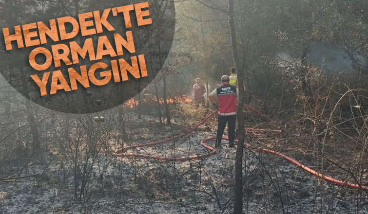 Ormanlık alanda yangın