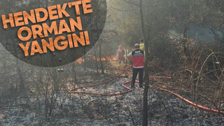 Ormanlık alanda yangın