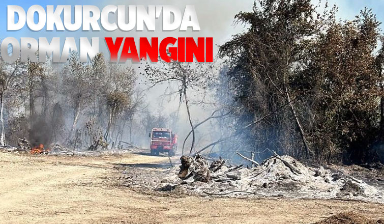 Ormanlık alanda yangın