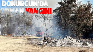 Ormanlık alanda yangın