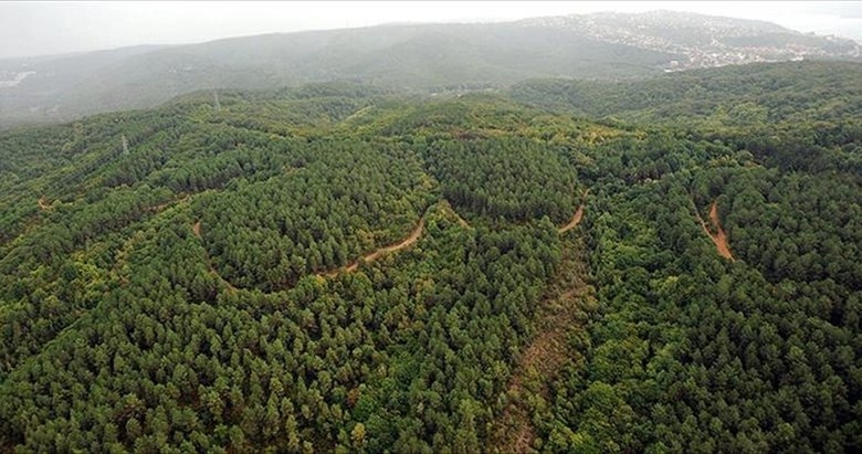 Ormanlık alanlara giriş çıkışlar yasaklandı