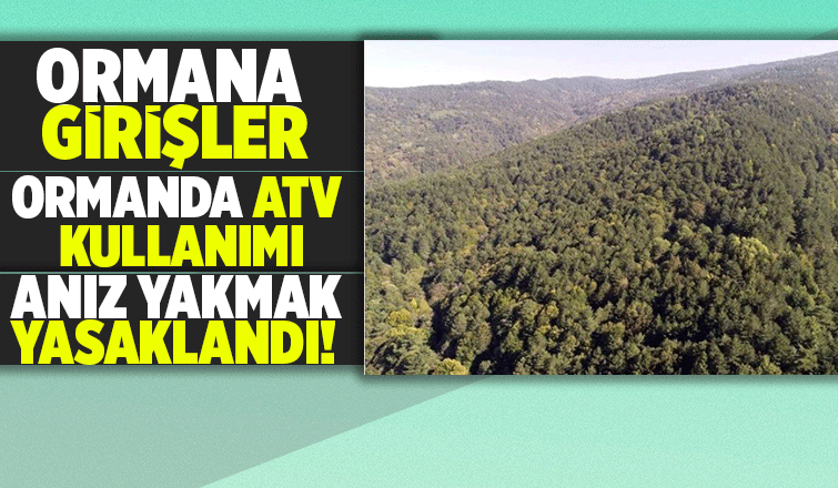 Ormanlık alanlara girişler yasaklandı