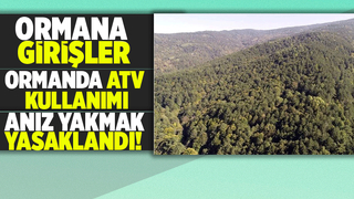 Ormanlık alanlara girişler yasaklandı
