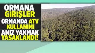 Ormanlık alanlara girişler yasaklandı