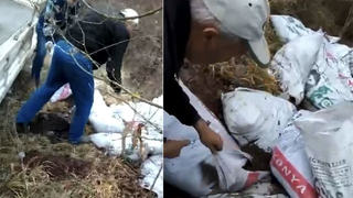 Örnek ceza; Doğaya attıkları malozları elleriyle toplattılar