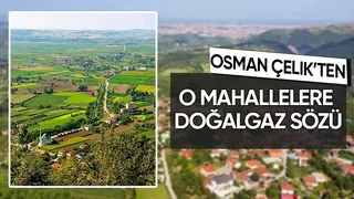 Osman Çelik: Doğalgaz seferberliği başlatacağız