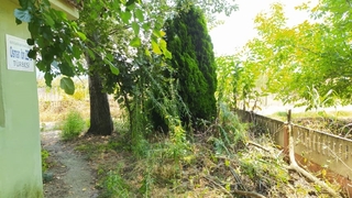 Osman İbn Zeyd Türbesi bu halde