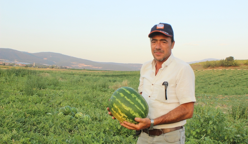 Osmaneli'nde 28 bin ton karpuz hasadı bekleniyor