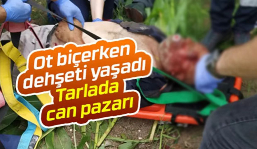 Ot biçerken otomobil çarptı
