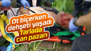 Ot biçerken otomobil çarptı