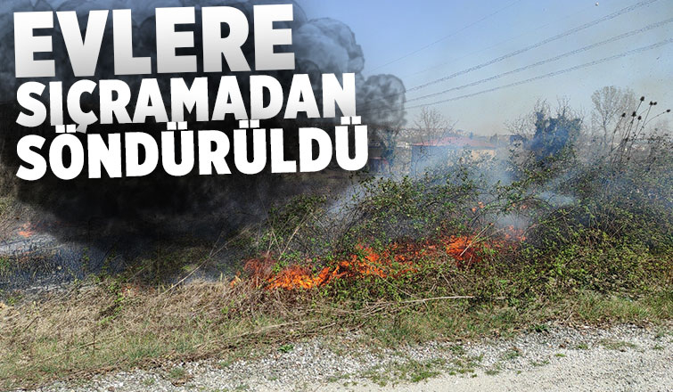 Otluk alan yangını rüzgar sebebiyle hızlı büyüdü