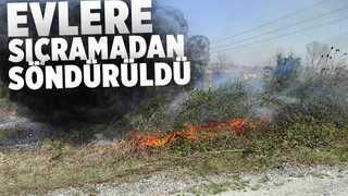 Otluk alan yangını rüzgar sebebiyle hızlı büyüdü