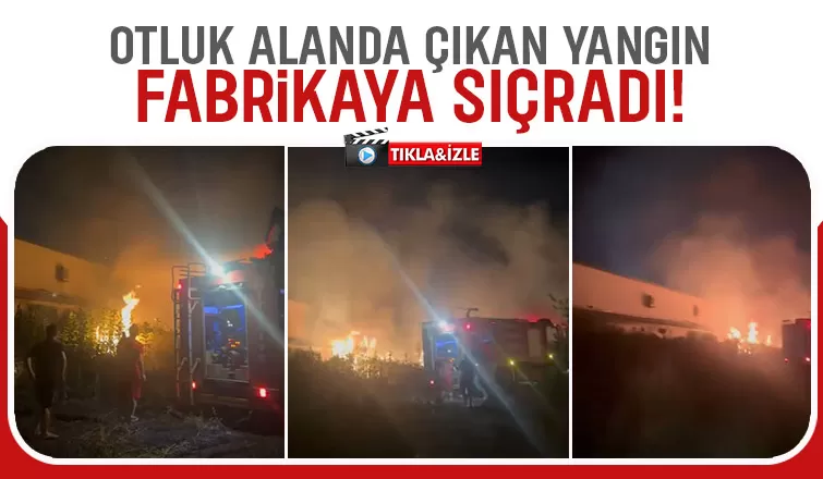 Otluk alanda yakılan ateş fabrikanın dış cephesini yaktı