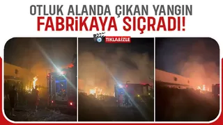 Otluk alanda yakılan ateş fabrikanın dış cephesini yaktı