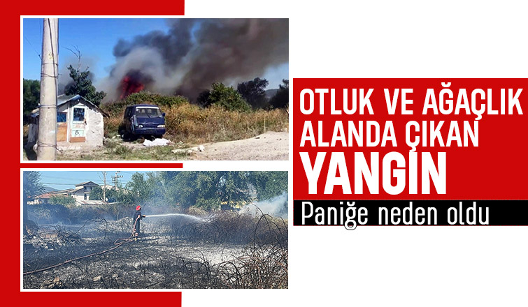 Otluk ve ağaçlık alanda çıkan yangın korkuttu