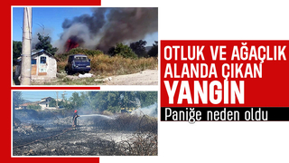 Otluk ve ağaçlık alanda çıkan yangın korkuttu