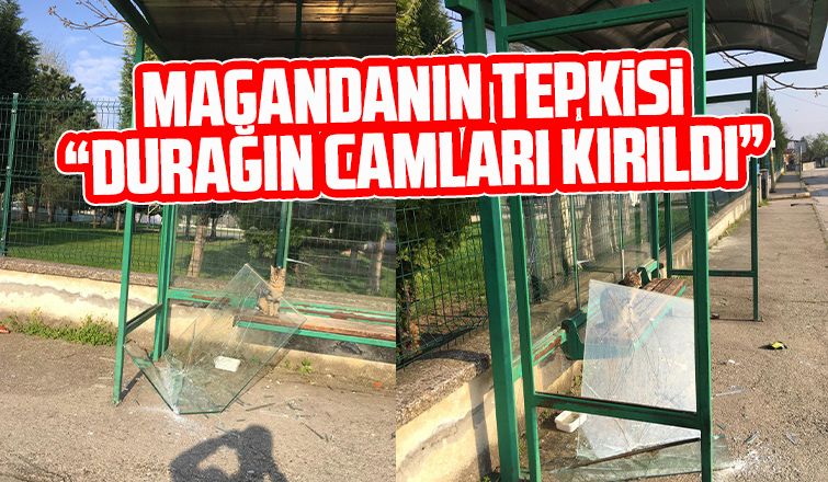 Otobüs durağına maganda saldırısı