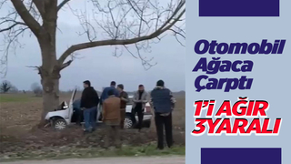 Otomobil ağaca çarptı: 1'i ağır 3 yaralı