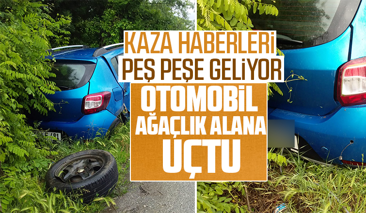 Otomobil ağaçlık alana uçtu