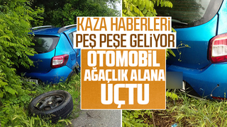 Otomobil ağaçlık alana uçtu