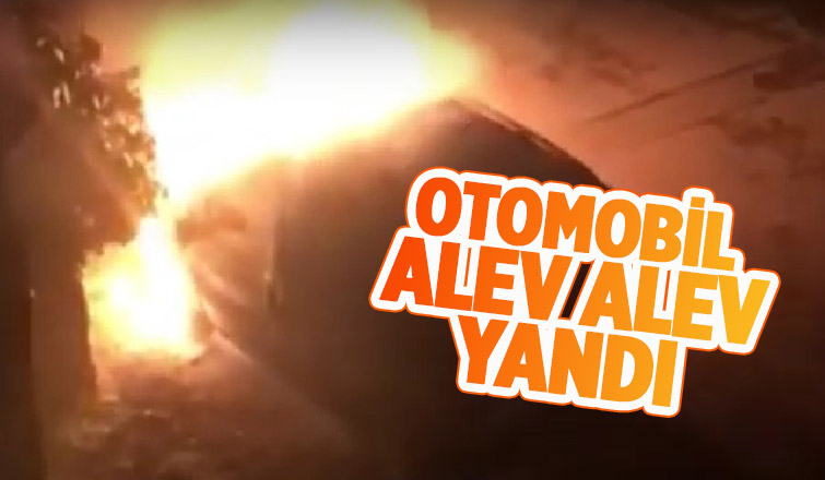 Otomobil alevlere teslim oldu