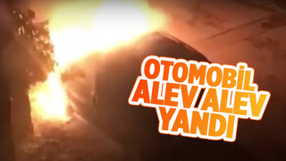 Otomobil alevlere teslim oldu