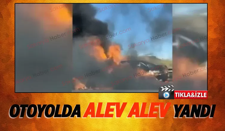 Otomobil alevlere teslim oldu