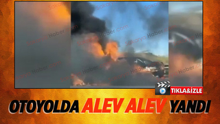 Otomobil alevlere teslim oldu