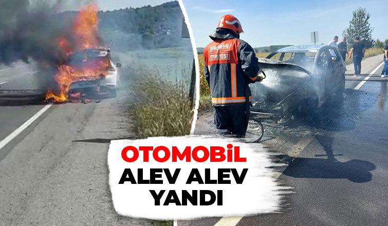 Otomobil alevlere teslim oldu