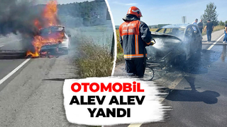 Otomobil alevlere teslim oldu