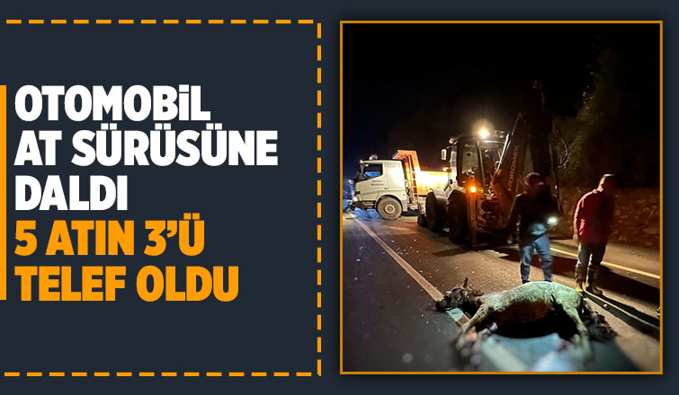 Otomobil at sürüsüne daldı